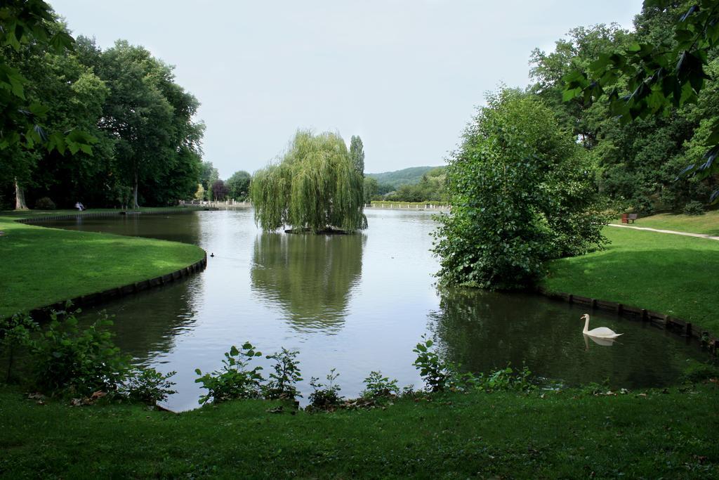 Au Bord Du Lac Hotel แซงต์-เรมี-เลส์-เชฟรูส ภายนอก รูปภาพ
